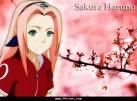 Sakura - sweet girl - ~Naruto~