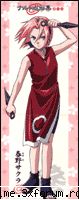 1. sakura