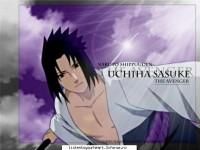 nr 12 sasuke