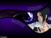 nr 14 sasuke