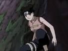 Ten Ten - sweet girl - ~Naruto~